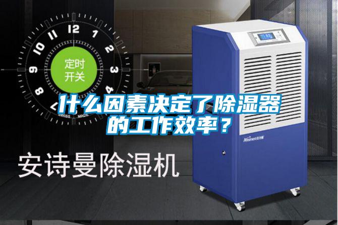 什么因素決定了除濕器的工作效率？