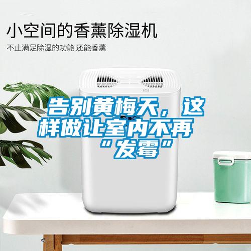 告別黃梅天，這樣做讓室內不再“發霉”