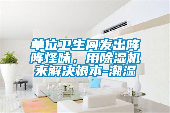 單位衛生間發出陣陣怪味，用除濕機來解決根本-潮濕