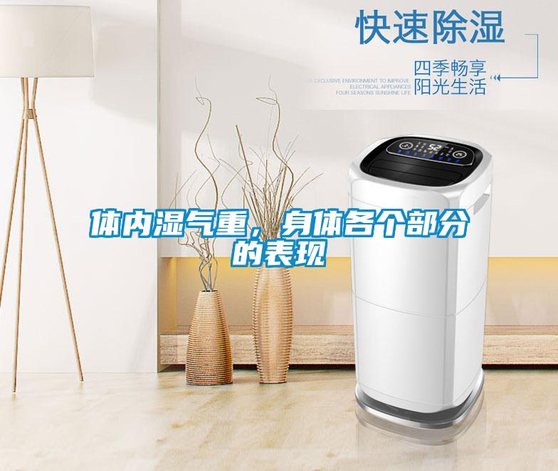 體內濕氣重，身體各個部分的表現