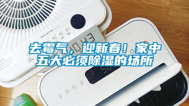 去霉氣，迎新春！家中五大必須除濕的場所