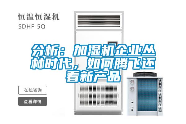 分析：加濕機(jī)企業(yè)叢林時代，如何騰飛還看新產(chǎn)品