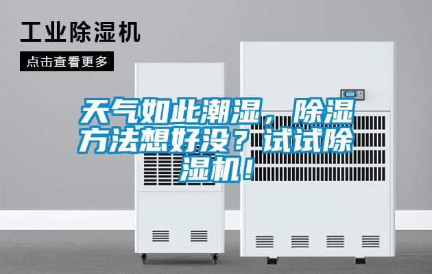 天氣如此潮濕，除濕方法想好沒？試試除濕機！