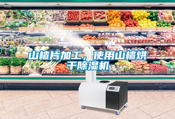 山楂片加工，使用山楂烘干除濕機