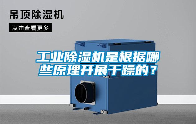 工業除濕機是根據哪些原理開展干躁的？