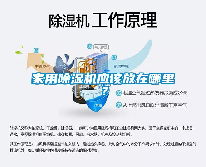 家用除濕機應該放在哪里？