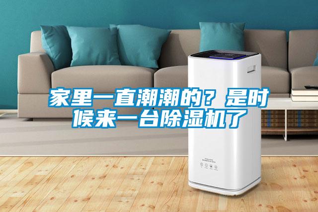 家里一直潮潮的？是時候來一臺除濕機了