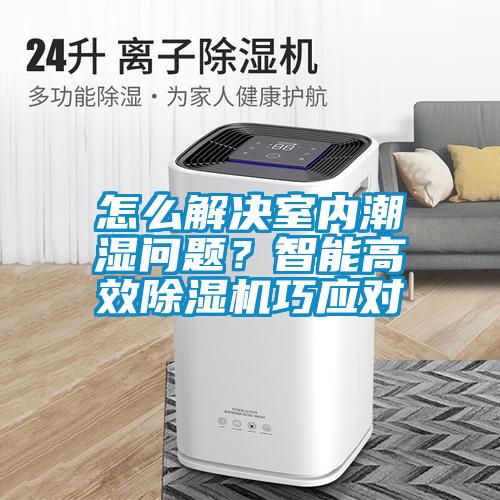 怎么解決室內(nèi)潮濕問(wèn)題？智能高效除濕機(jī)巧應(yīng)對(duì)