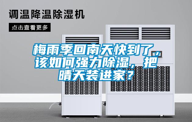 梅雨季回南天快到了，該如何強(qiáng)力除濕，把晴天裝進(jìn)家？
