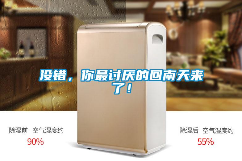 沒錯，你最討厭的回南天來了！
