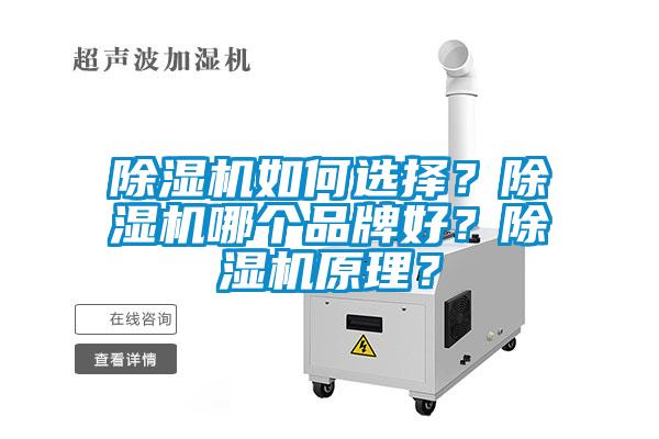 除濕機如何選擇?除濕機哪個品牌好?除濕機原理?
