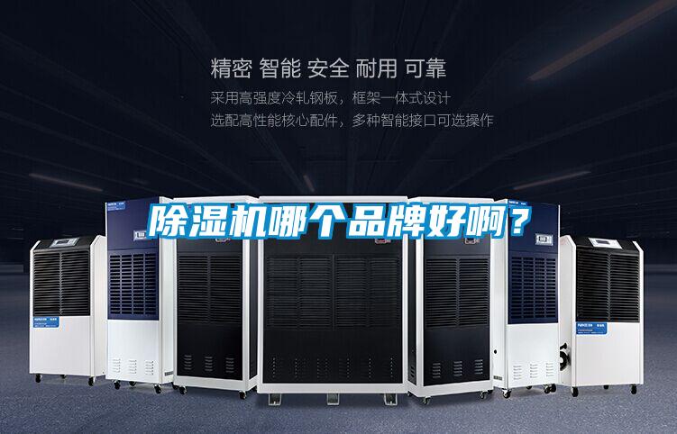 除濕機(jī)哪個(gè)品牌好啊?