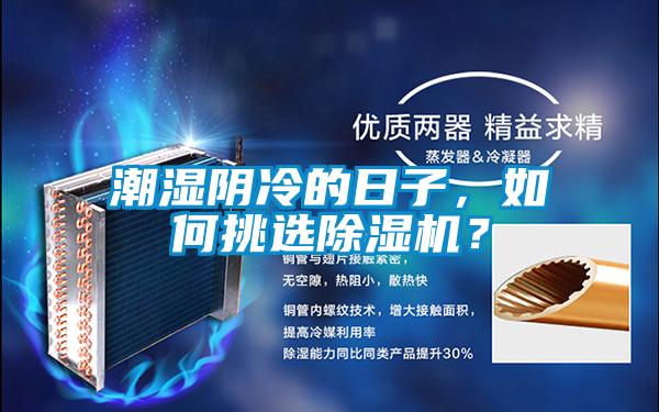潮濕陰冷的日子，如何挑選除濕機？