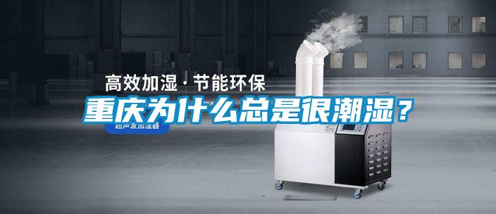 重慶為什么總是很潮濕？