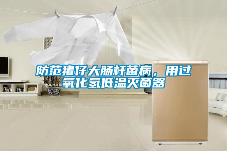 防范豬仔大腸桿菌病，用過氧化氫低溫滅菌器