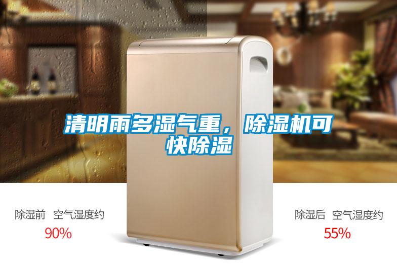 清明雨多濕氣重，除濕機可快除濕