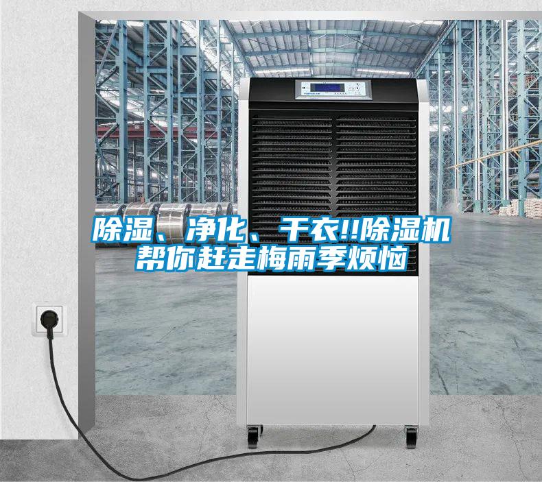 除濕、凈化、干衣!!除濕機幫你趕走梅雨季煩惱
