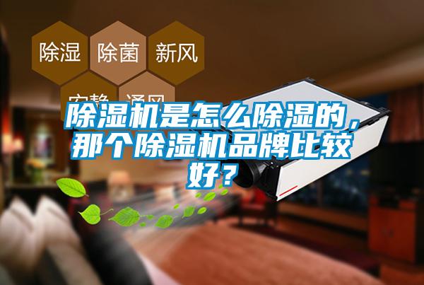 除濕機是怎么除濕的，那個除濕機品牌比較好？
