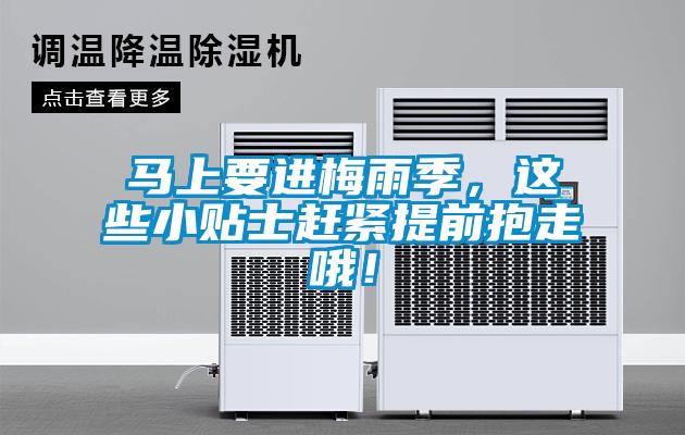 馬上要進(jìn)梅雨季，這些小貼士趕緊提前抱走哦！