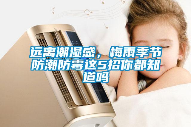遠(yuǎn)離潮濕感，梅雨季節(jié)防潮防霉這5招你都知道嗎