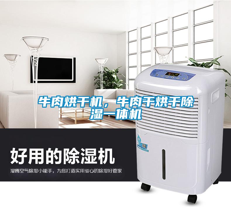 牛肉烘干機，牛肉干烘干除濕一體機