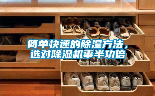 簡單快速的除濕方法，選對除濕機事半功倍