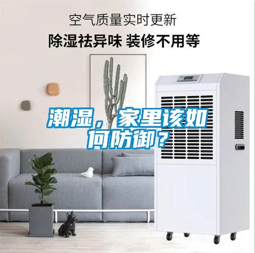 潮濕，家里該如何防御？