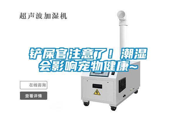 鏟屎官注意了！潮濕會影響寵物健康~