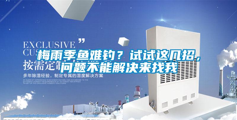 梅雨季魚難釣？試試這幾招，問題不能解決來找我