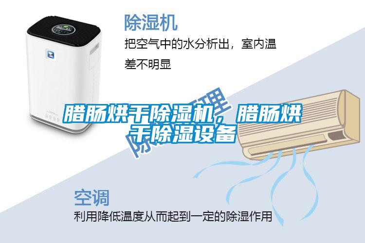臘腸烘干除濕機(jī)，臘腸烘干除濕設(shè)備