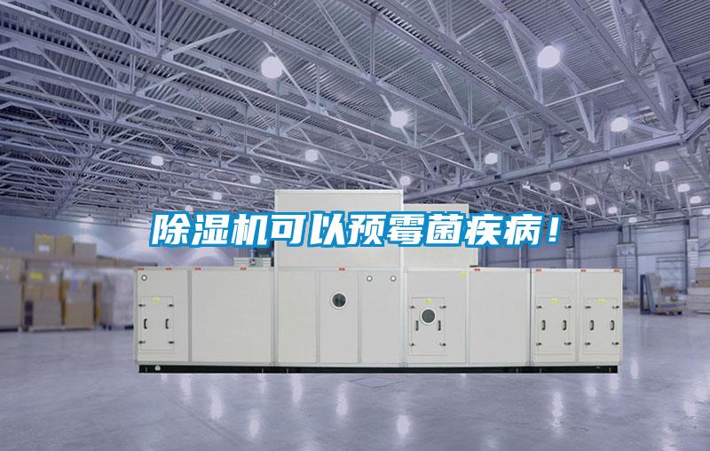 除濕機可以預霉菌疾??！