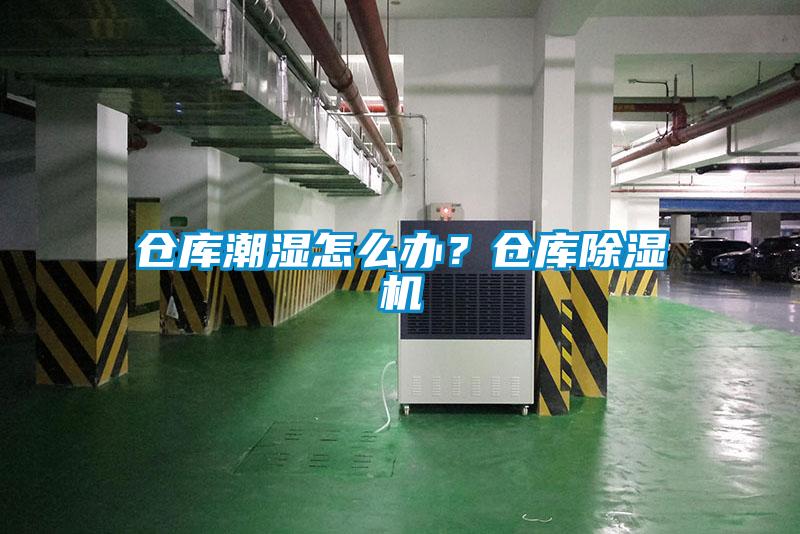 倉(cāng)庫(kù)潮濕怎么辦？倉(cāng)庫(kù)除濕機(jī)