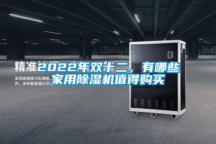 2022年雙十二，有哪些家用除濕機值得購買