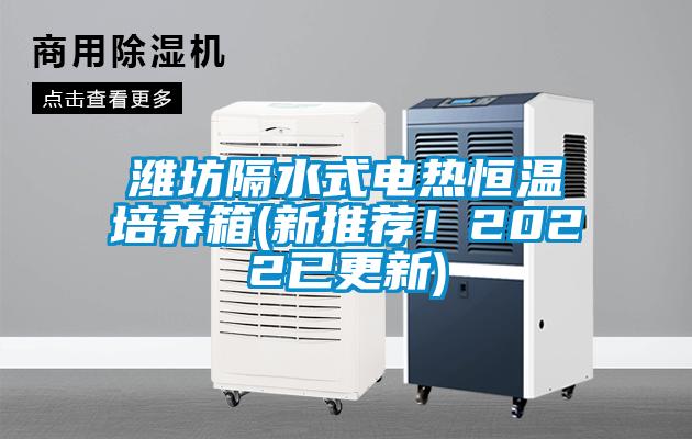 濰坊隔水式電熱恒溫培養箱(新推薦！2022已更新)
