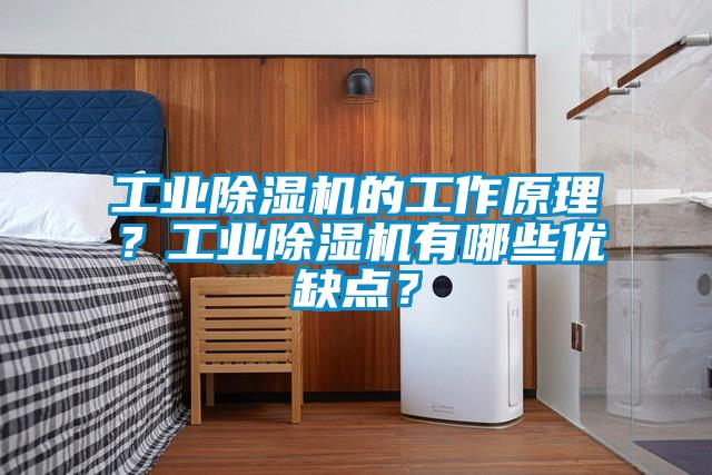 工業(yè)除濕機(jī)的工作原理？工業(yè)除濕機(jī)有哪些優(yōu)缺點(diǎn)？