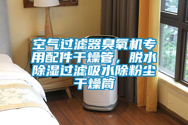 空氣過(guò)濾器臭氧機(jī)專(zhuān)用配件干燥管，脫水除濕過(guò)濾吸水除粉塵干燥筒