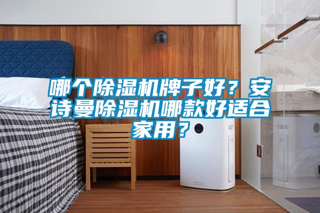 哪個除濕機牌子好？安詩曼除濕機哪款好適合家用？