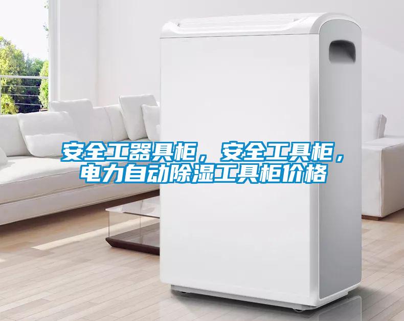 安全工器具柜，安全工具柜，電力自動除濕工具柜價格