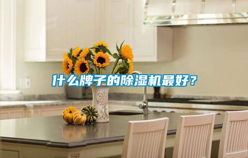 什么牌子的除濕機最好？