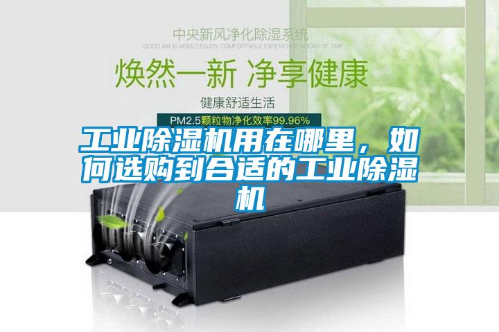 工業除濕機用在哪里，如何選購到合適的工業除濕機