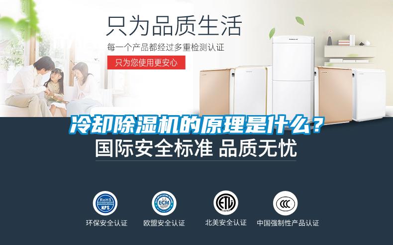 冷卻除濕機的原理是什么？