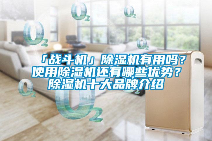 「戰(zhàn)斗機(jī)」除濕機(jī)有用嗎？使用除濕機(jī)還有哪些優(yōu)勢？除濕機(jī)十大品牌介紹