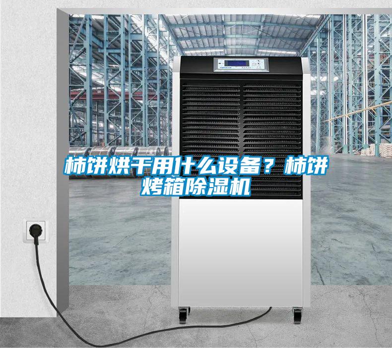 柿餅烘干用什么設(shè)備？柿餅烤箱除濕機(jī)