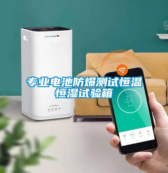 專業(yè)電池防爆測試恒溫恒濕試驗(yàn)箱