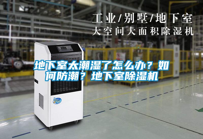 地下室太潮濕了怎么辦？如何防潮？地下室除濕機