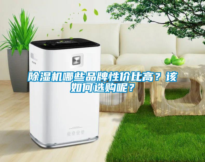 除濕機(jī)哪些品牌性價比高？該如何選購呢？