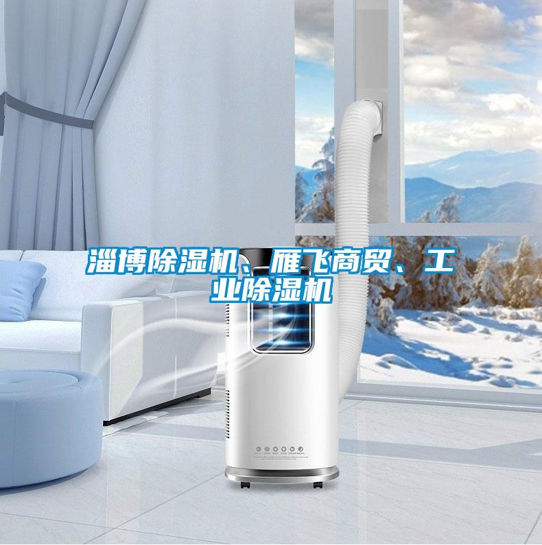 淄博除濕機、雁飛商貿、工業(yè)除濕機