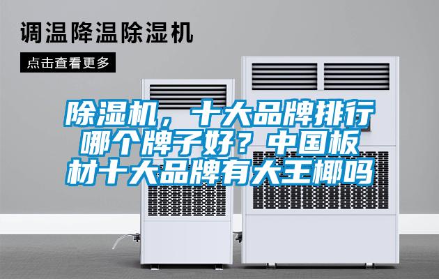 除濕機，十大品牌排行哪個牌子好？中國板材十大品牌有大王椰嗎
