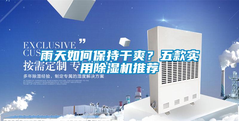 雨天如何保持干爽？五款實用除濕機推薦