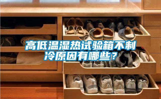 高低溫濕熱試驗(yàn)箱不制冷原因有哪些？